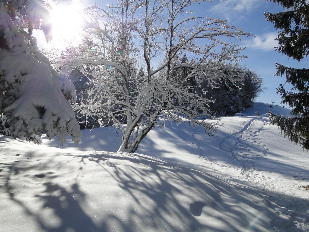 Hotel Notre Dame Des Neiges Ла-Фекла Екстер'єр фото